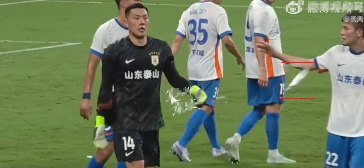 但现实的问, 的视频, 球迷中引起