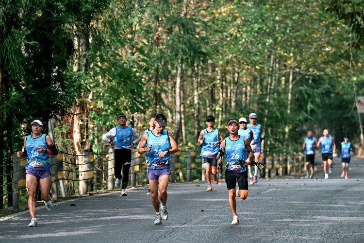 国际户外运, 项延续性的 国际户外运, 项延续性的